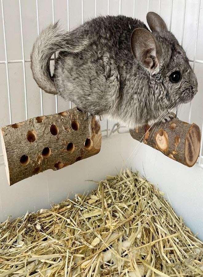 TANOMA Apple Wood, Small Animals Cage Accessories, Molar Wood Chew Treats Toys for Rabbits, Hamster, Guinea Pig, Chinchillas, Gerbils, Mice, Rats, Mouse, Bunny - Image 3